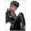 Catwoman Graphic Novel